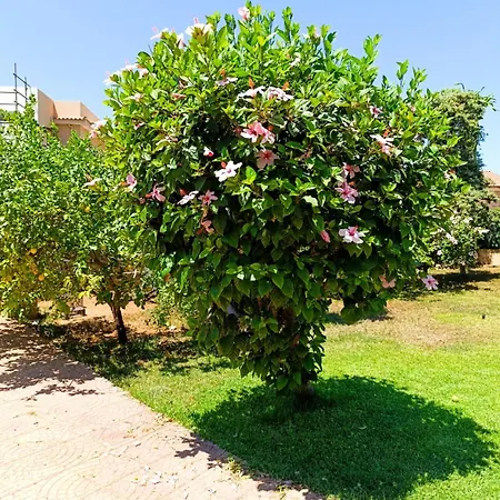 Casa In Giardino A Pochi Passi Dal Mare Prázdninový dům Palermo